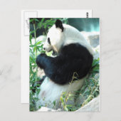 Lin Hui Postkarte (Vorne/Hinten)