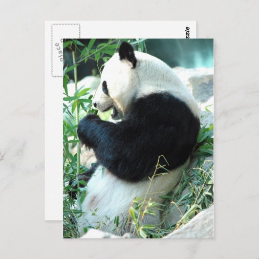 Lin Hui Postkarte (Vorne/Hinten)