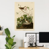 Lincoln Finch Poster (Heimbüro)
