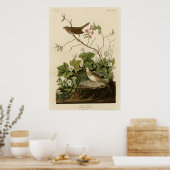 Lincoln Finch Poster (Küche)