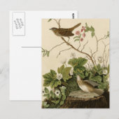 Lincoln Finch Postkarte (Vorne/Hinten)