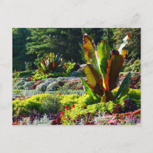 Lincoln, Nebraska Sungardens #224 Postkarte