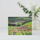 Lincoln, Nebraska Sunken Gardens #223 Postkarte (Stehend Vorderseite)