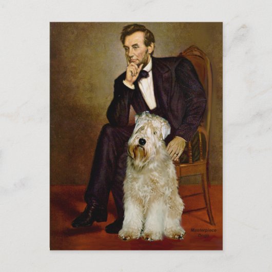 Lincoln - Wheaten Terrier 7 Postkarte (Vorderseite)