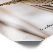 Lincolns Sparrow auf Tansy Fotodruck (Ecke)