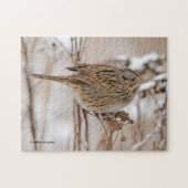 Lincolns Sparrow auf Tansy Puzzle (Horizontal)