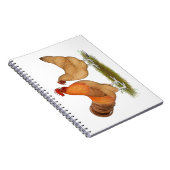 Lincolnshire Buff Chickens Notizblock (Rechte Seite)