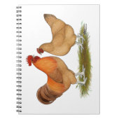Lincolnshire Buff Chickens Notizblock (Vorderseite)