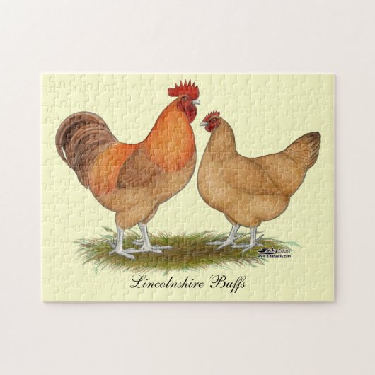 Lincolnshire Buff Chickens Puzzle (Horizontal)