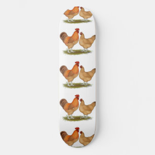 Lincolnshire Buff Chickens Skateboard