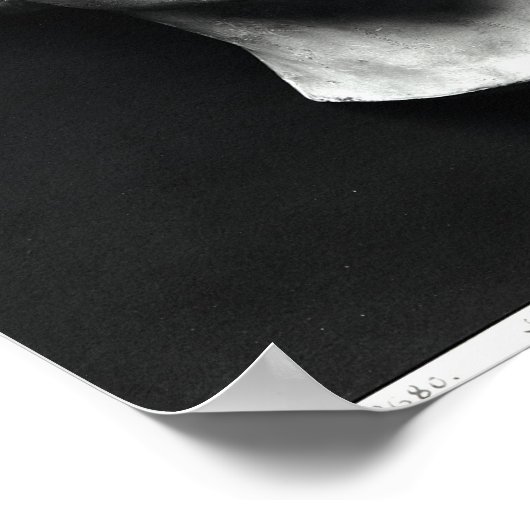 L'Inconnue de la Seine' Poster (Ecke)