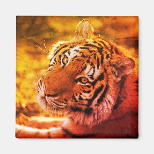 Linda Expressão de Tigre Deitado. Magnet (Vorne)