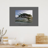 Linda Mar Cypress Poster (Küche)