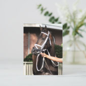 Linda Mimi von Glückwünschen Postkarte (Stehend Vorderseite)