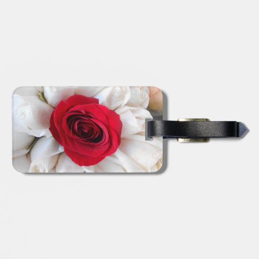 Lindegren  gepäckanhänger (Rückseite horizontal)