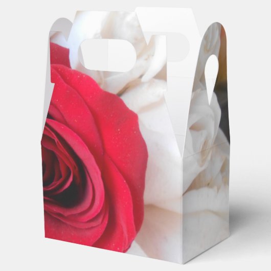 Lindegren Geschenkschachtel (Geöffnet)