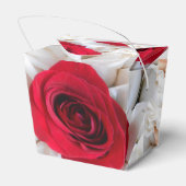Lindegren Geschenkschachtel (Rückseite)