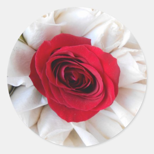 Lindegren Runder Aufkleber (Vorderseite)