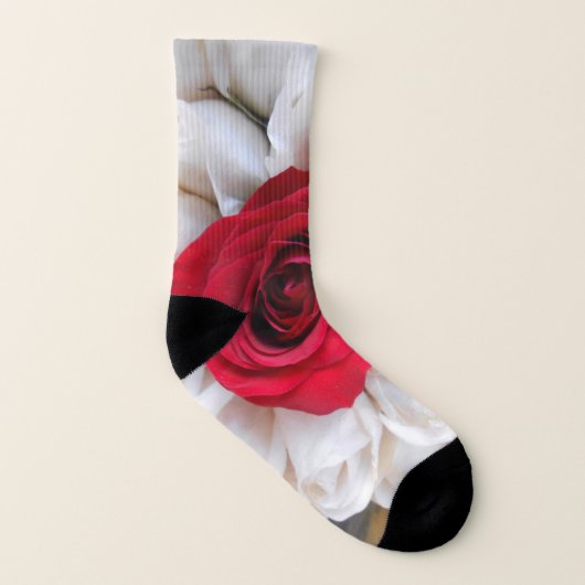 Lindegren Socken (Links - Innen)