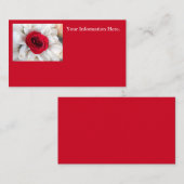 Lindegren Visitenkarte (Vorne/Hinten)