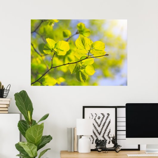 Linden Blätter Poster (Heimbüro)