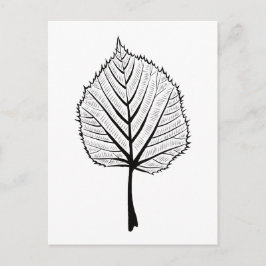 Linden Leaf Kontur Kunst, Dichtung und Musik Postkarte