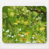 Lindentee-Blüten und -Blätter Mousepad (Vorne)