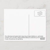 Lindholm Train Postkarte (Rückseite)