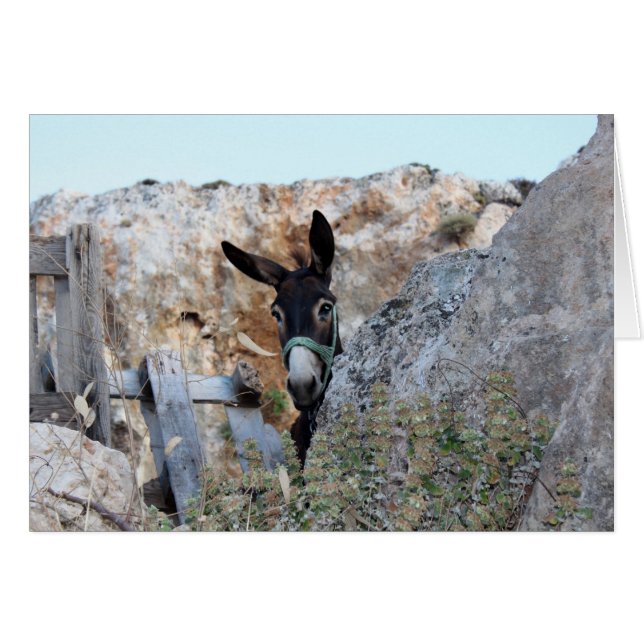 Lindos Donkey (Vorderseite (Horizontal))