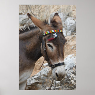 Lindos Donkey Poster