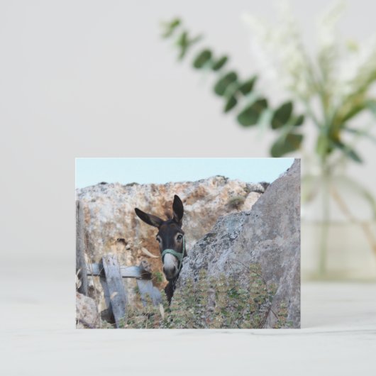 Lindos Donkey Postkarte (Stehend Vorderseite)