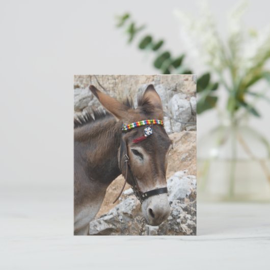 Lindos Donkey Postkarte (Stehend Vorderseite)