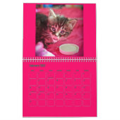 Lindsay 2017 Pflegekätzchen-Kalender Kalender (Feb 2027)