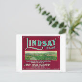 Lindsay Orange LabelLindsay, CA Postkarte (Stehend Vorderseite)