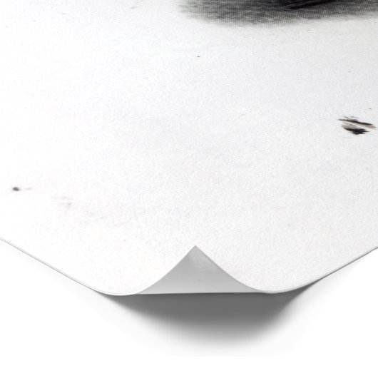 Lindstrom mit Buckweizenkuchen Poster (Ecke)