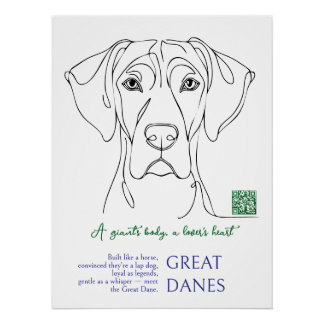 Line Art Great Dane Poster