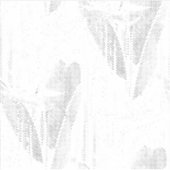 Line art, Seashell, Harp Custom-Cut Vinyl Sticker (Vorderseite)