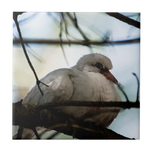 Line Master Fliese (Vorderseite)