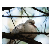 Line Master Fotodruck (Vorne)