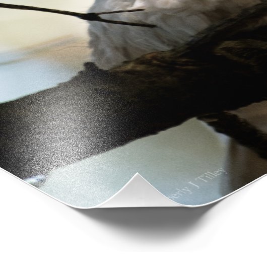 Line Master Fotodruck (Ecke)