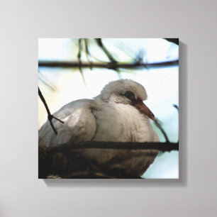 Line Master Leinwanddruck