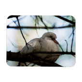 Line Master Magnet (Horizontal)