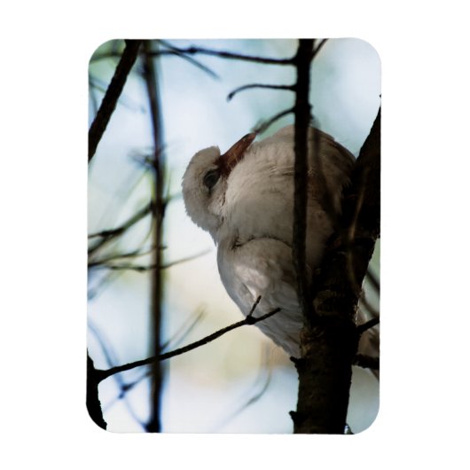 Line Master Magnet (Vertikal)