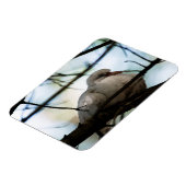 Line Master Magnet (Linke Seite)