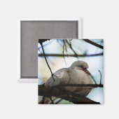 Line Master Magnet (Vorderseite/Rückseite)