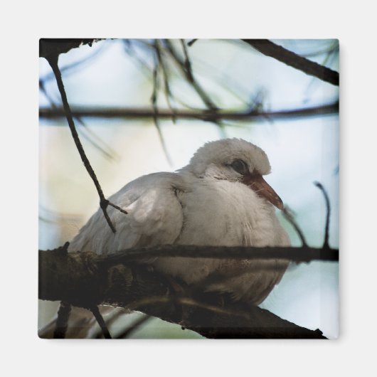 Line Master Magnet (Vorne)