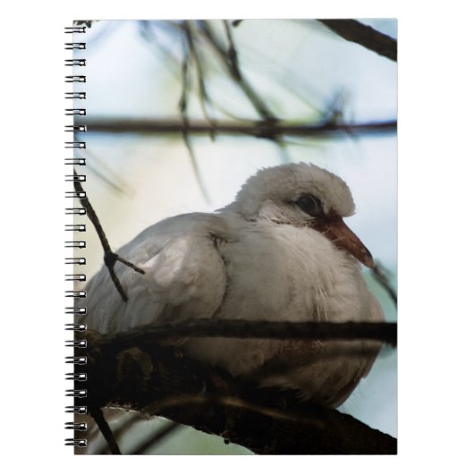 Line Master Notizblock (Vorderseite)