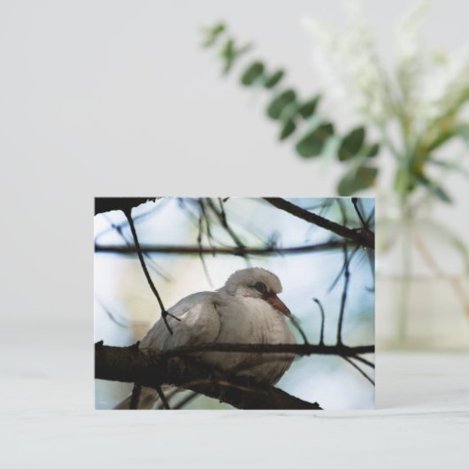 Line Master Postkarte (Stehend Vorderseite)