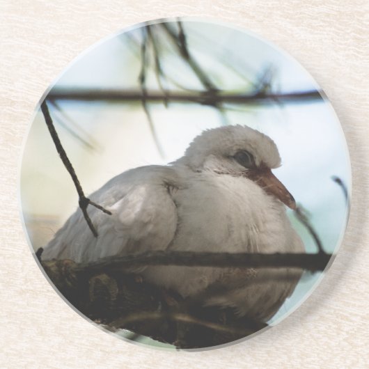 Line Master Untersetzer (Vorne)