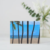 Line of Beach Palms - Hawaii - Postkarte (Stehend Vorderseite)